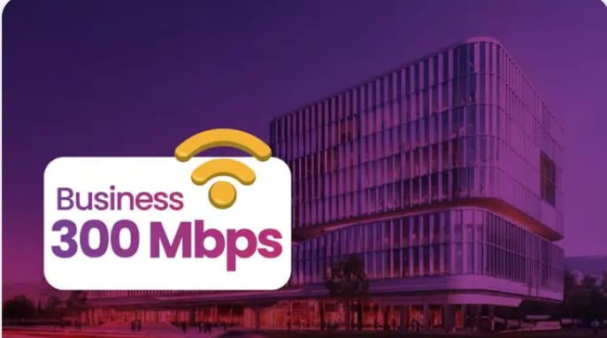 Business Plus